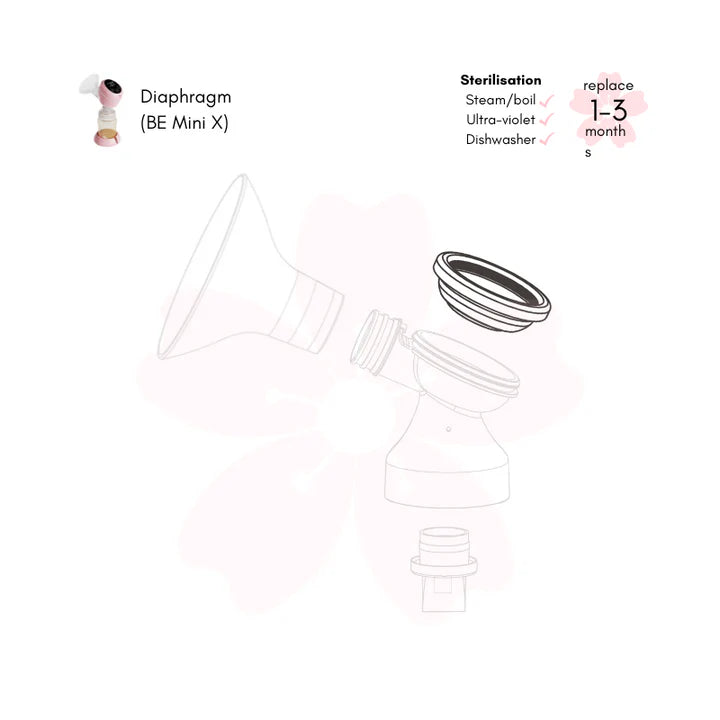 BE Mini x Pump Parts