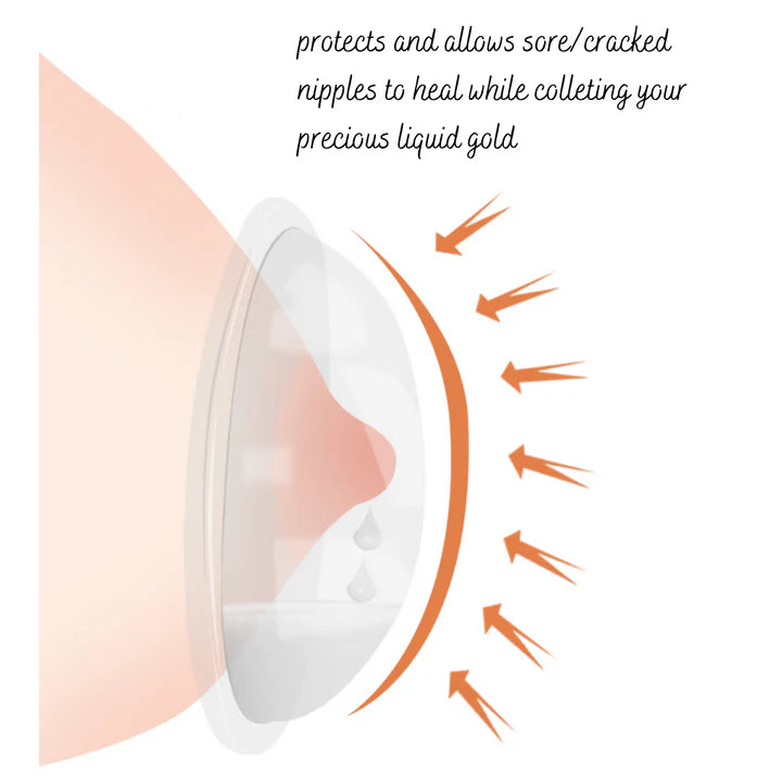 Breast Shield with Plug