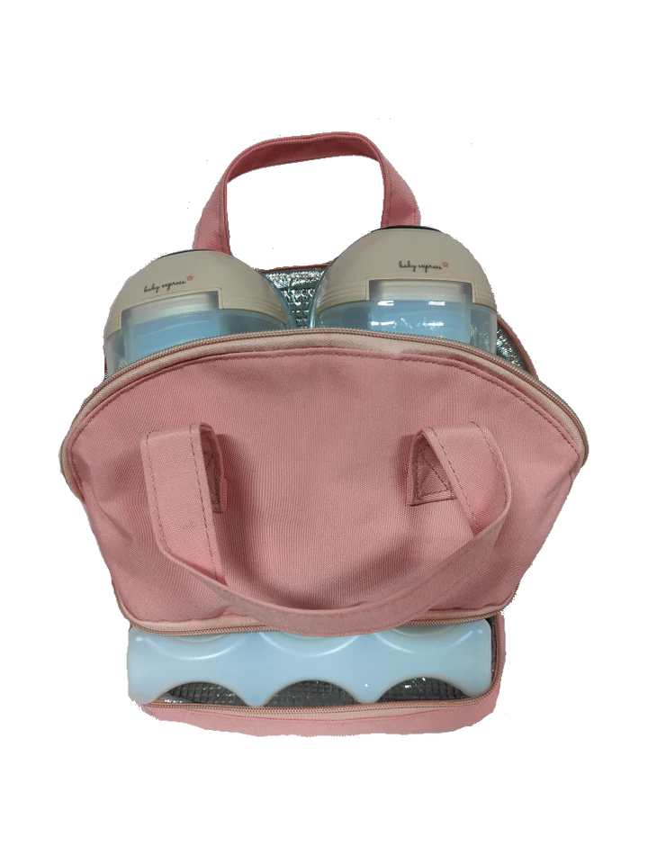 Insulated Carry Bag + Ice Brick