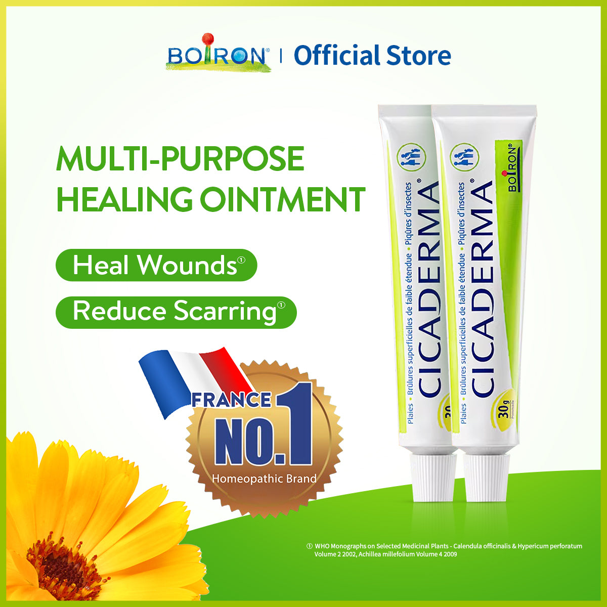 Boiron Cicaderma - Multipurpose Antiseptic Wound Healing Ointment with Moisture Recovery, Itch Relief