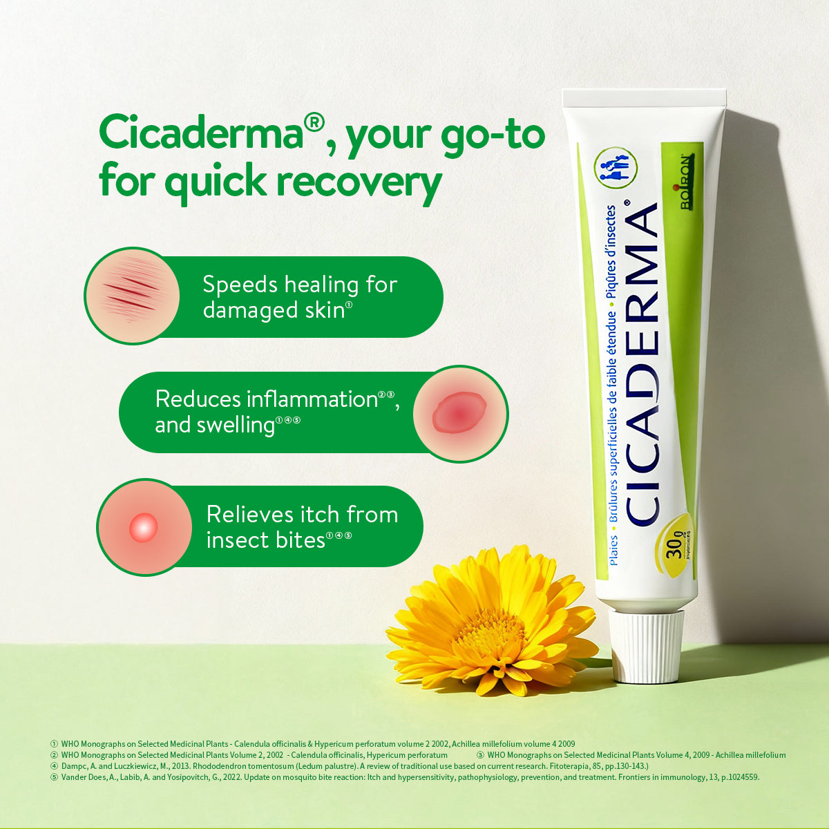 Boiron Cicaderma - Multipurpose Antiseptic Wound Healing Ointment with Moisture Recovery, Itch Relief