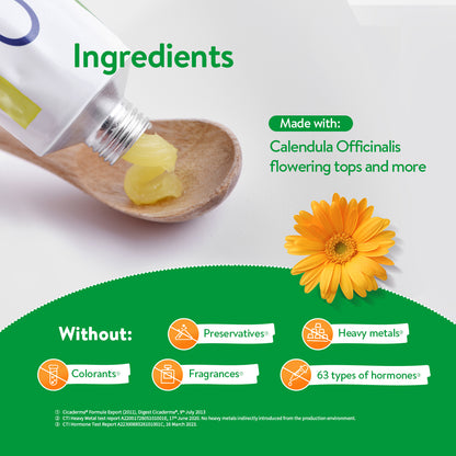 Boiron Cicaderma - Multipurpose Antiseptic Wound Healing Ointment with Moisture Recovery, Itch Relief