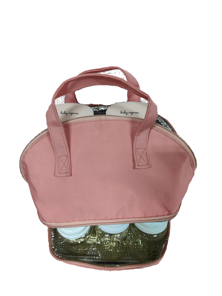 Insulated Carry Bag + Ice Brick